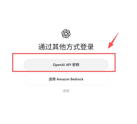 选择“OpenAI API 密钥”
